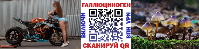 Псилоцибиновые грибы Cubensis  Богданович 