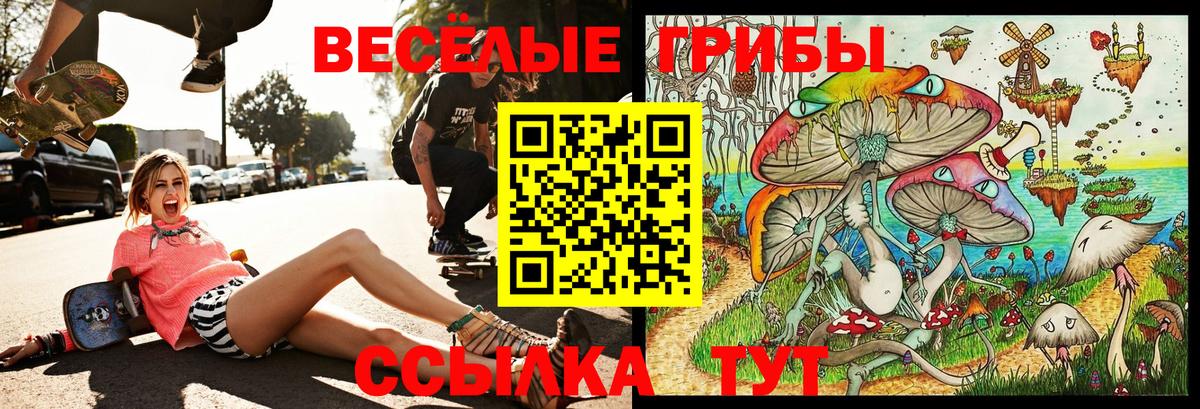 Богданович  Псилоцибиновые грибы Cubensis  Псилоцибиновые грибы Psilocybine cubensis  Вход с VPN 