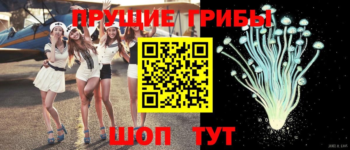 Псилоцибиновые грибы ЛСД Богданович