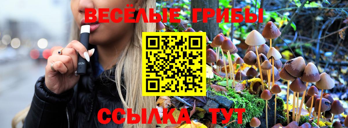 COCAIN  Мяу-Мяу  Ляпка  Вход с VPN  Бошки Шишки  Купить наркотики  Богданович  Метамфетамин  МЕФ  MDMA 